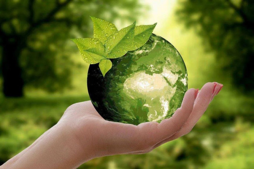 EcoVadis评级有什么好处 EcoVadis认证机构是什么