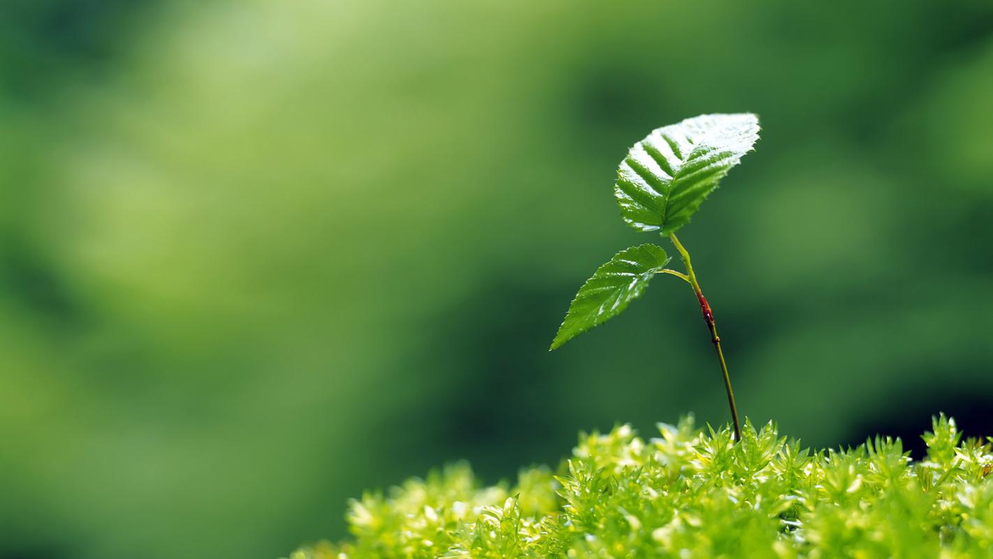 生命周期评价思想萌芽 LCA认证适用范围